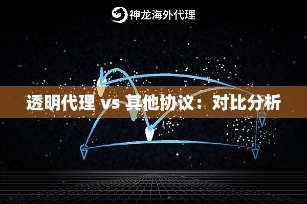 透明代理 vs 其他协议：对比分析