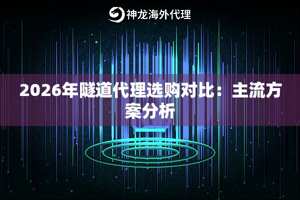 2026年隧道代理选购对比：主流方案分析