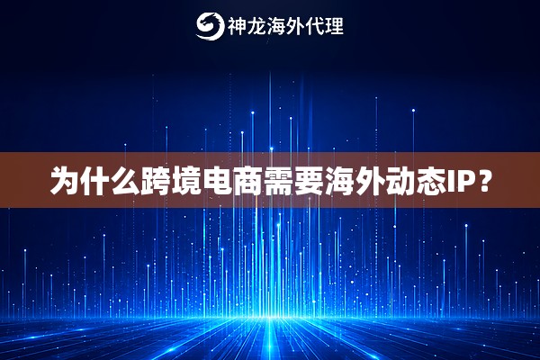 为什么跨境电商需要海外动态IP？