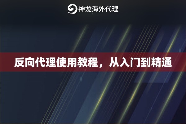 反向代理使用教程,从入门到精通 反向代理使用教程,从入门到精通