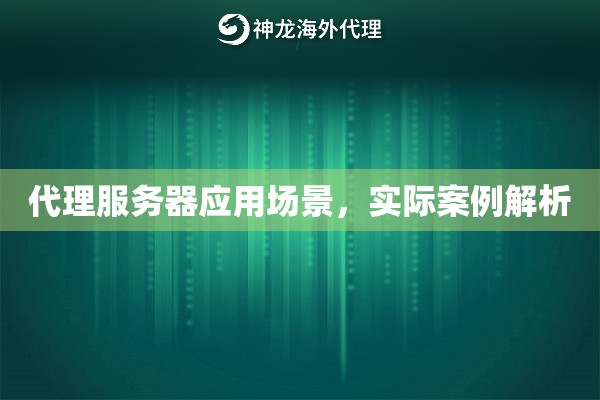 代理服务器应用场景,实际案例解析 代理服务器应用场景,实际案例解析