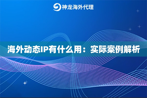 海外动态IP有什么用：实际案例解析