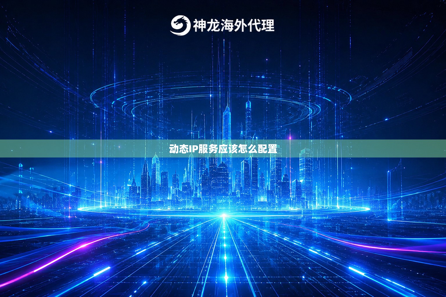 动态IP服务应该怎么配置