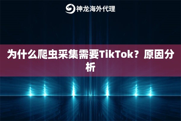 为什么爬虫采集需要TikTok？原因分析