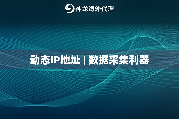 动态IP地址 | 数据采集利器