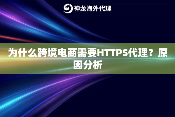为什么跨境电商需要HTTPS代理？原因分析