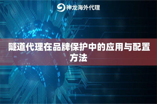 隧道代理在品牌保护中的应用与配置方法