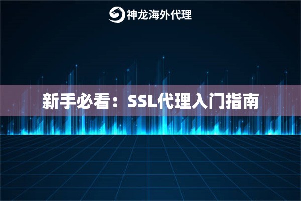 新手必看:SSL代理入门指南 新手必看:SSL代理入门指南