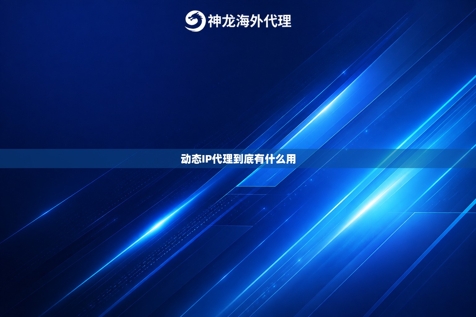 动态IP代理到底有什么用
