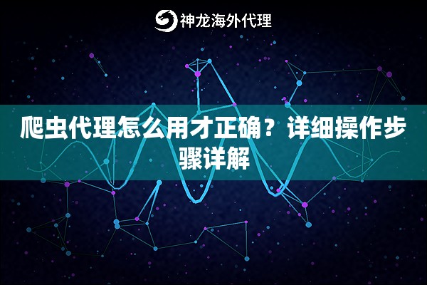 爬虫代理怎么用才正确？详细操作步骤详解