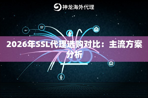 2026年SSL代理选购对比：主流方案分析