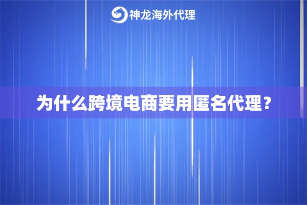 为什么跨境电商要用匿名代理？