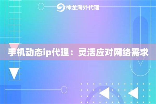 手机动态ip代理：灵活应对网络需求