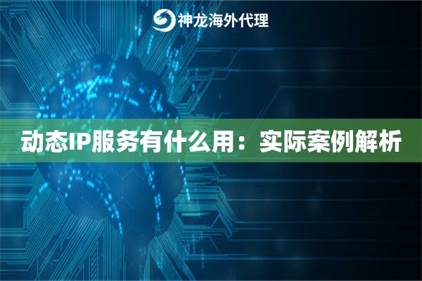 动态IP服务有什么用：实际案例解析