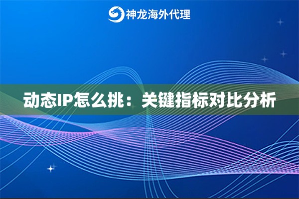 动态IP怎么挑：关键指标对比分析