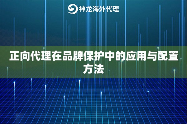 正向代理在品牌保护中的应用与配置方法 正向代理在品牌保护中的应用与配置方法