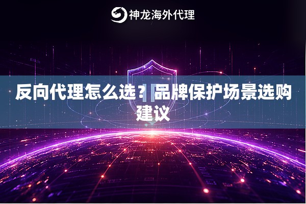 反向代理怎么选?品牌保护场景选购建议 反向代理怎么选?品牌保护场景选购建议