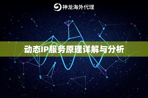 动态IP服务原理详解与分析