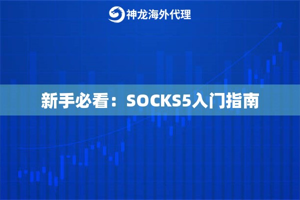 新手必看：SOCKS5入门指南