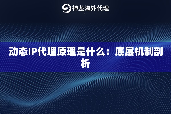 动态IP代理原理是什么：底层机制剖析