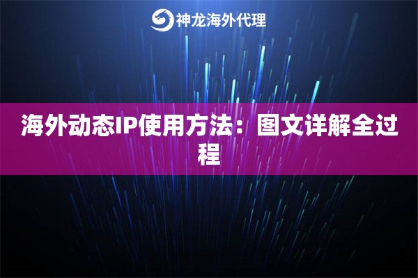 海外动态IP使用方法：图文详解全过程