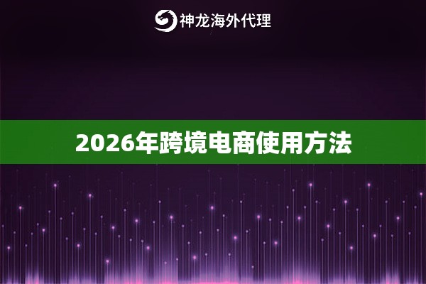 2026年跨境电商使用方法