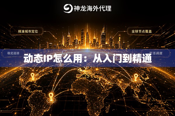 动态IP怎么用：从入门到精通