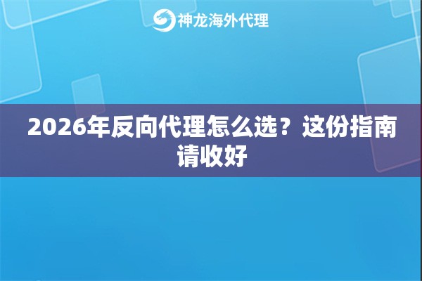 2026年反向代理怎么选?这份指南请收好 2026年反向代理怎么选?这份指南请收好
