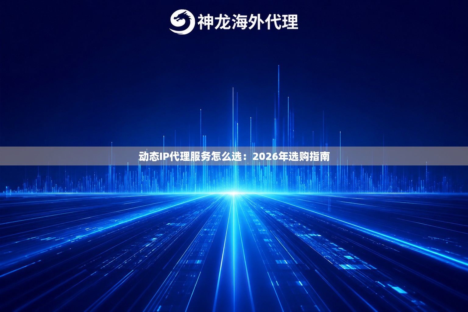 动态IP代理服务怎么选：2026年选购指南
