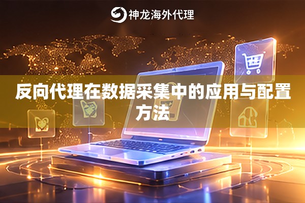反向代理在数据采集中的应用与配置方法 反向代理在数据采集中的应用与配置方法