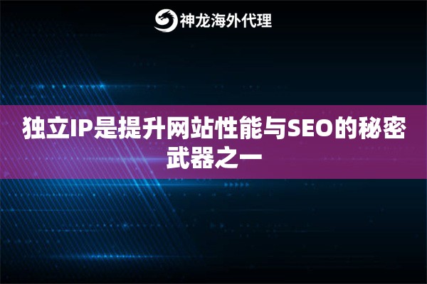 独立IP是提升网站性能与SEO的秘密武器之一