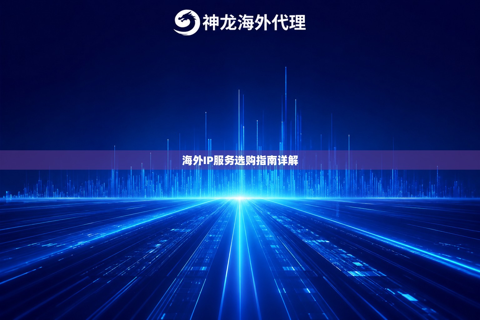 海外IP服务选购指南详解 海外IP服务选购指南详解