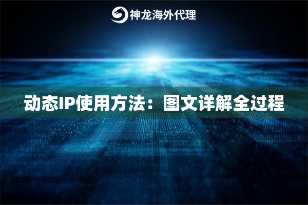 动态IP使用方法:图文详解全过程 动态IP使用方法:图文详解全过程
