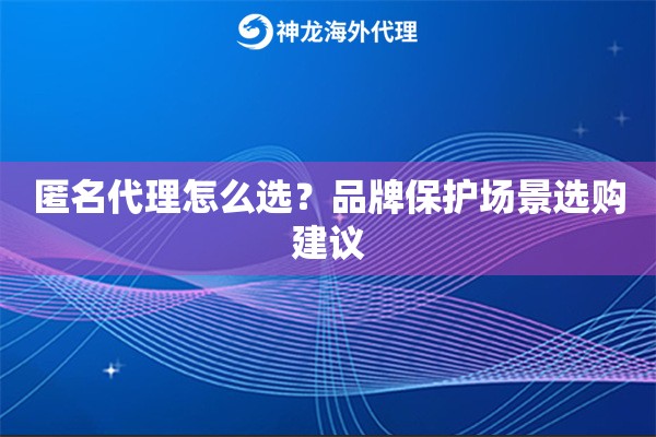 匿名代理怎么选？品牌保护场景选购建议