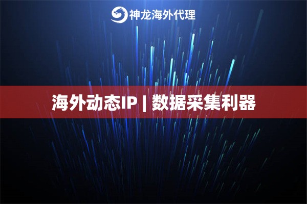 海外动态IP | 数据采集利器