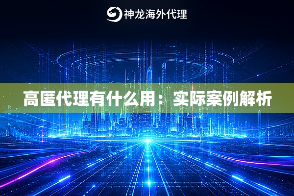 高匿代理有什么用:实际案例解析 高匿代理有什么用:实际案例解析