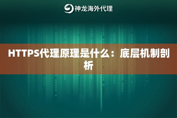 HTTPS代理原理是什么:底层机制剖析 HTTPS代理原理是什么:底层机制剖析