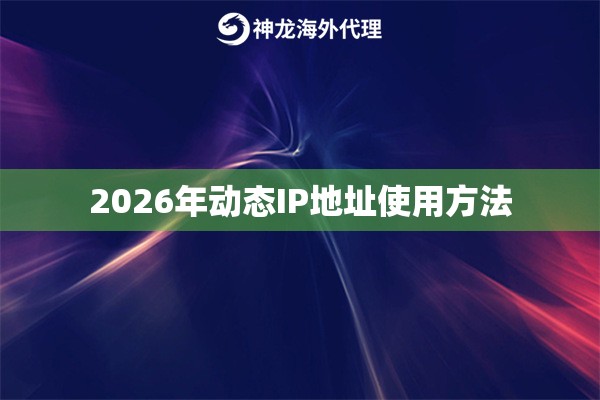 2026年动态IP地址使用方法