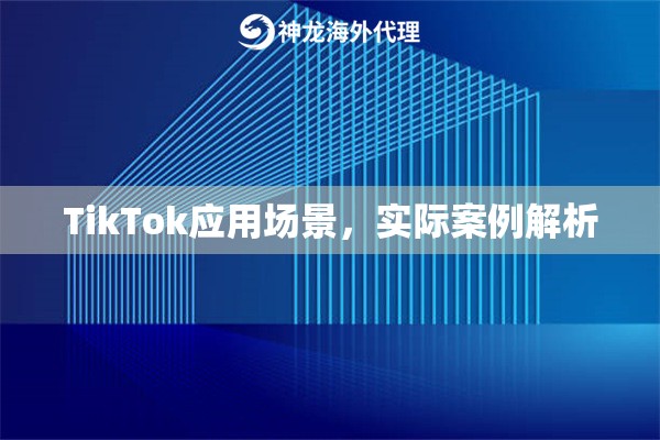 TikTok应用场景，实际案例解析