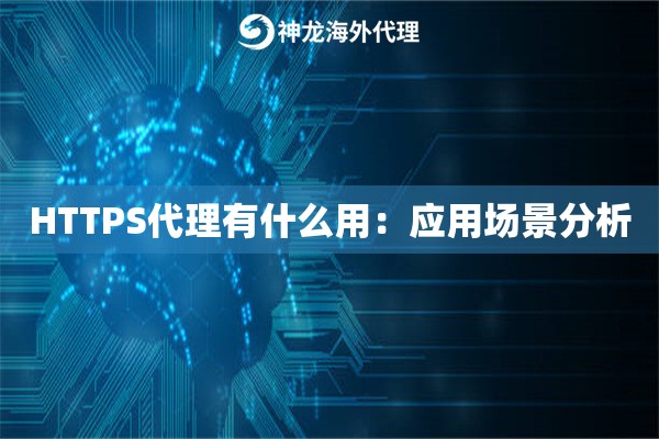 HTTPS代理有什么用:应用场景分析 HTTPS代理有什么用:应用场景分析