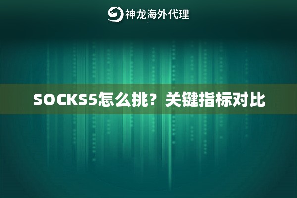 SOCKS5怎么挑？关键指标对比