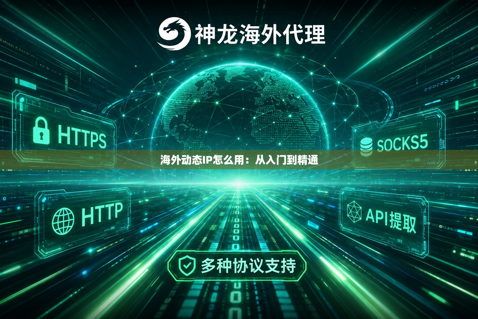 海外动态IP怎么用：从入门到精通