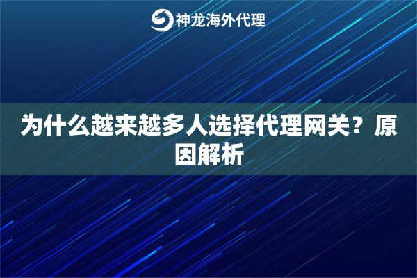 为什么越来越多人选择代理网关?原因解析 为什么越来越多人选择代理网关?原因解析