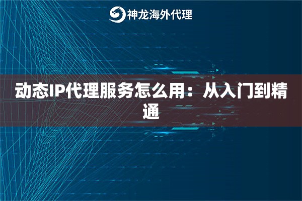 动态IP代理服务怎么用：从入门到精通