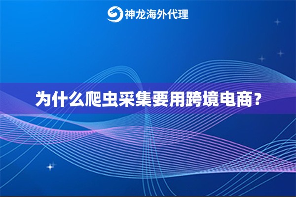 为什么爬虫采集要用跨境电商？