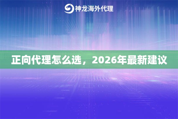 正向代理怎么选，2026年最新建议