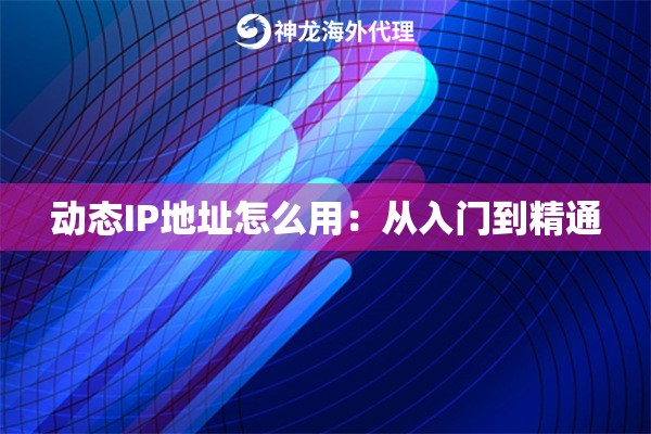 动态IP地址怎么用：从入门到精通