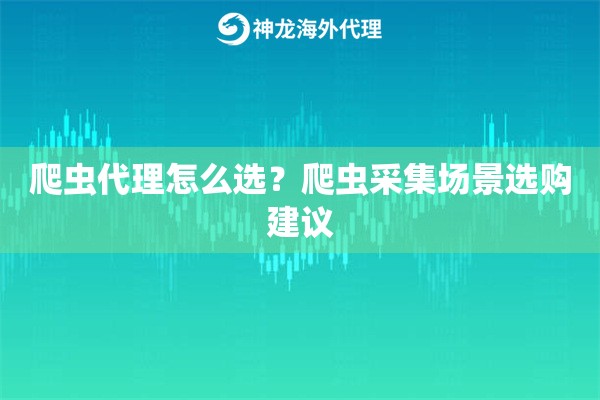 爬虫代理怎么选？爬虫采集场景选购建议