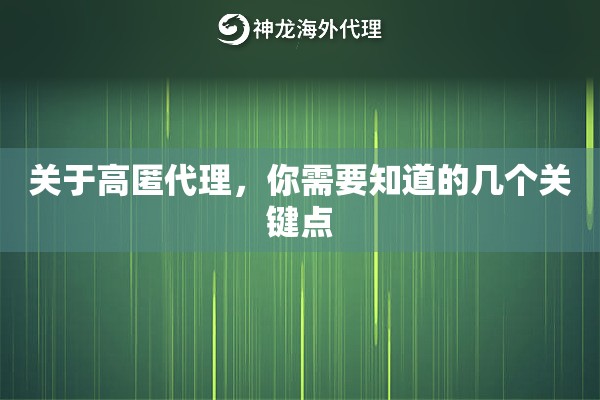 关于高匿代理,你需要知道的几个关键点 关于高匿代理,你需要知道的几个关键点
