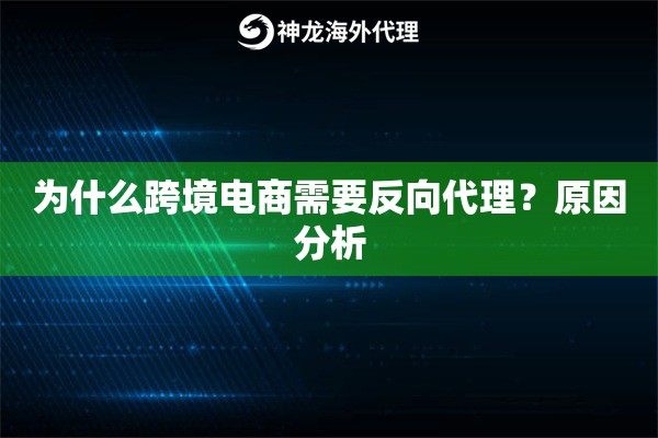 为什么跨境电商需要反向代理?原因分析 为什么跨境电商需要反向代理?原因分析